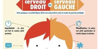 Educational infographic : t vous ? 🤔#repost @comptoirdeleveil ・・・ ••• Oula, je crois que je…