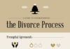 Fashion infographic : A Guide to Understanding the Divorce Process Infographic
