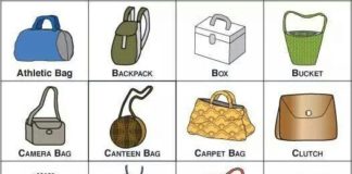 Fashion infographic : Bags