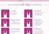 Fashion infographic : Best nail shape for every hand