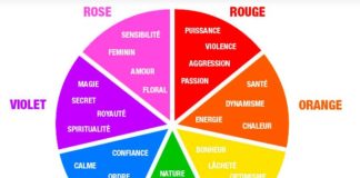 Fashion infographic : Comment faire de belles photos Instagram ?