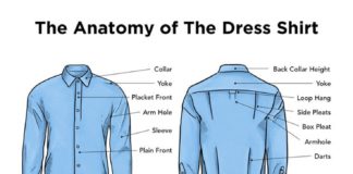 Fashion infographic : Dress Shirt Infographic