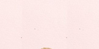 Fashion infographic : Fashion Blogger Veronika Lipar of Brunette from Wall Street sharing list of top …