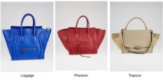 Fashion infographic : Fashion infographic : Celine Handbag Style Guide