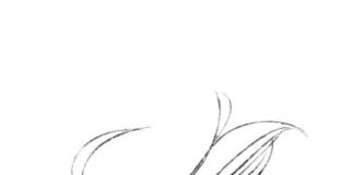 Fashion infographic : Fashion infographic : Dessin dune femme de dos. Pose.