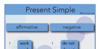 Fashion infographic : Fashion infographic : Present simple “to work”