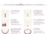 Fashion infographic : Fashion infographic : The Ultimate Necklace Fashion Vocabulary (2017 Edition)