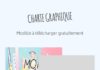 Fashion infographic : Modèle de Charte Graphique