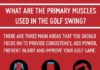 Fashion infographic : Moore Park Golf – closest public access course to Sydney
