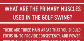 Fashion infographic : Moore Park Golf – closest public access course to Sydney