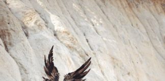 Fashion infographic : Morgane, quatrième et dernière grande pretresse des dieux. Elle est la seule …