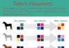Fashion infographic : Résultat de recherche d'images pour “quelle couleurs vont le mieux ensemble…