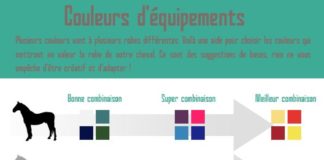 Fashion infographic : Résultat de recherche d'images pour “quelle couleurs vont le mieux ensemble…
