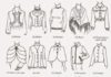 Fashion infographic : SHORT OUTERWEAR… Alternatives for custom orders… Memorizing the Style Featu…