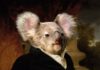 Fashion infographic : Sir Bruce – Worth1000 Contests..koala