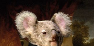 Fashion infographic : Sir Bruce – Worth1000 Contests..koala