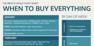 Fashion infographic : The Best Time To Buy Everything On Your List