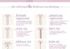 Fashion infographic : The Ultimate Hosiery Fashion Vocabulary