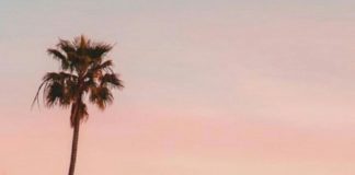 Fashion infographic : Wallpaper Tumblr – – #WallpaperTumblraestheticpastel #wallpapertumblrlockscreen…