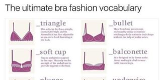 Fashion infographic : bra knowledge