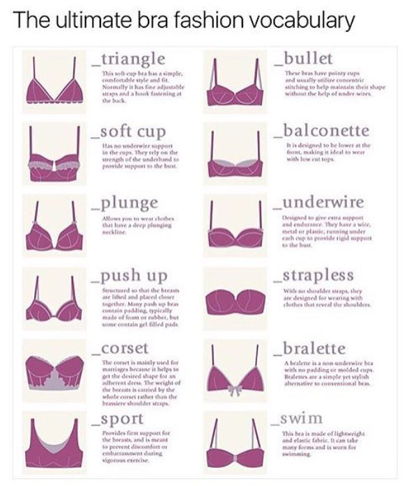 Fashion infographic : bra knowledge - InfographicNow.com | Your Number ...