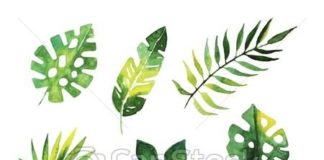 Fashion infographic : exotique, ensemble, feuilles, arbres, aquarelle, vecteur, jungle, illustrations,…