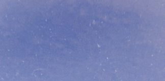 Fashion infographic : – #naturallocks – #naturallocks