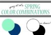 Fashion infographic : ss 2014 color combo fashion trends monochromatic, animal print