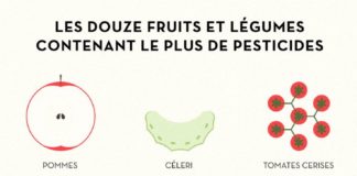 Food infographic – 12 fruits et légumes contenant le plus de pesticides