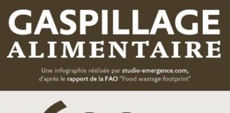 Food infographic – 1/3 de la nourriture produite chaque année dans le monde est perdue ou gaspill…