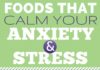 Food infographic – 17 Foods for Anxiety! [Infographic