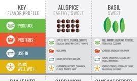 Food infographic – 27 Food Infographics We Love