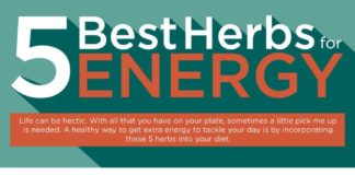 Food infographic – 5 Best Herbs for Energy (Infographic)