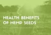 Food infographic – 7 Major Health Benefits of Hemp Seeds