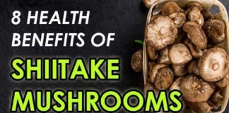 Food infographic – 8 Potential Health Benefits of Shiitake Mushrooms