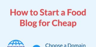 Food infographic – A Foolproof Guide on How to Start a Food Blog for Cheap