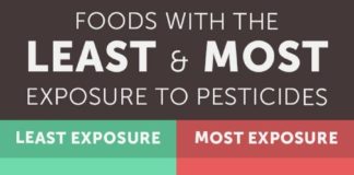 Food infographic – A Jury Found Monsanto’s Roundup Caused a Man’s Cancer: Here Are 7 Foods It’s Found In
