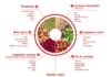 Food infographic – Accessoire cuisine
