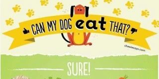 Food infographic – An Organic Dog Food Diet Will Help Your Pal Live Longer!