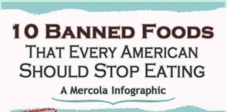 Food infographic – Banned Foods Americans Should Stop Eating food truth interesting healthy eating …