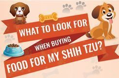 Food infographic – Best dog food for Shih Tzu