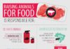 Food infographic – COWSPIRACY: The Sustainability Secret