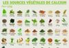 Food infographic – Calcium végétal