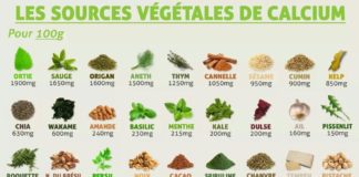 Food infographic – Calcium végétal