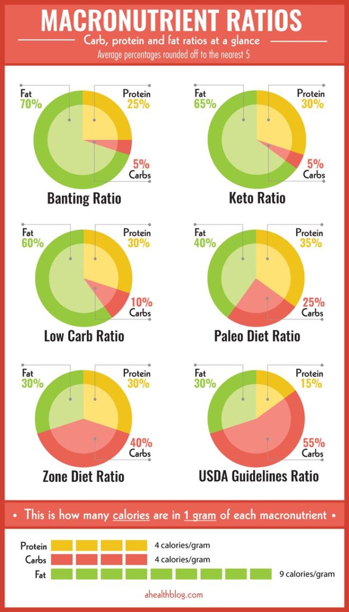 Food Infographic Carb Calculator CARB PROTEIN AND FAT RATIOS