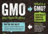 Food infographic – Celebrate Non-GMO Month By Using Your Shopping Cart As A Vehicle for Social Chan…