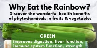 Food infographic – Choose-Your-Own-Adventure Instant Pot Stew