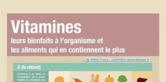 Food infographic – Dans quels aliments trouver ces vitamines ? Voici le guide à avoir