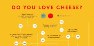 Food infographic – Easy holiday cheese plate recipe