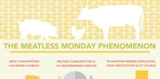 Food infographic – Eating Meat Is Getting Way Less Popular (Infographic)